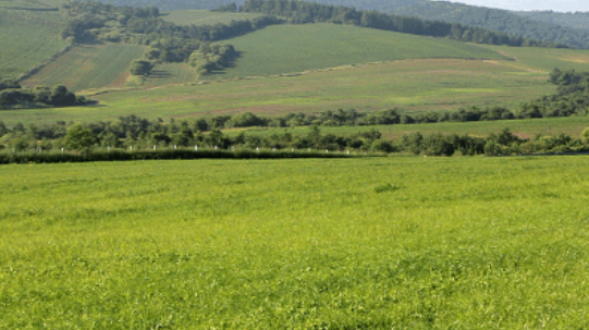 610cf22532705.png 微信圖片_20210806162526.png