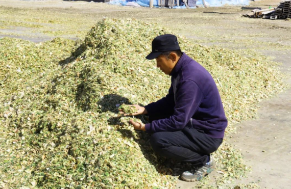 610cfdbc6b8c2.png 微信圖片_20210806171129.png